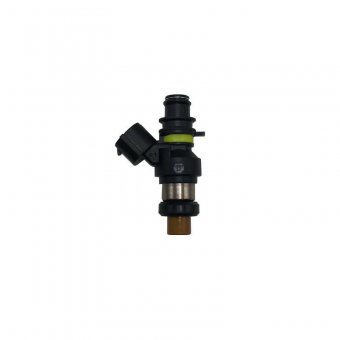 Injector combustibil (B)